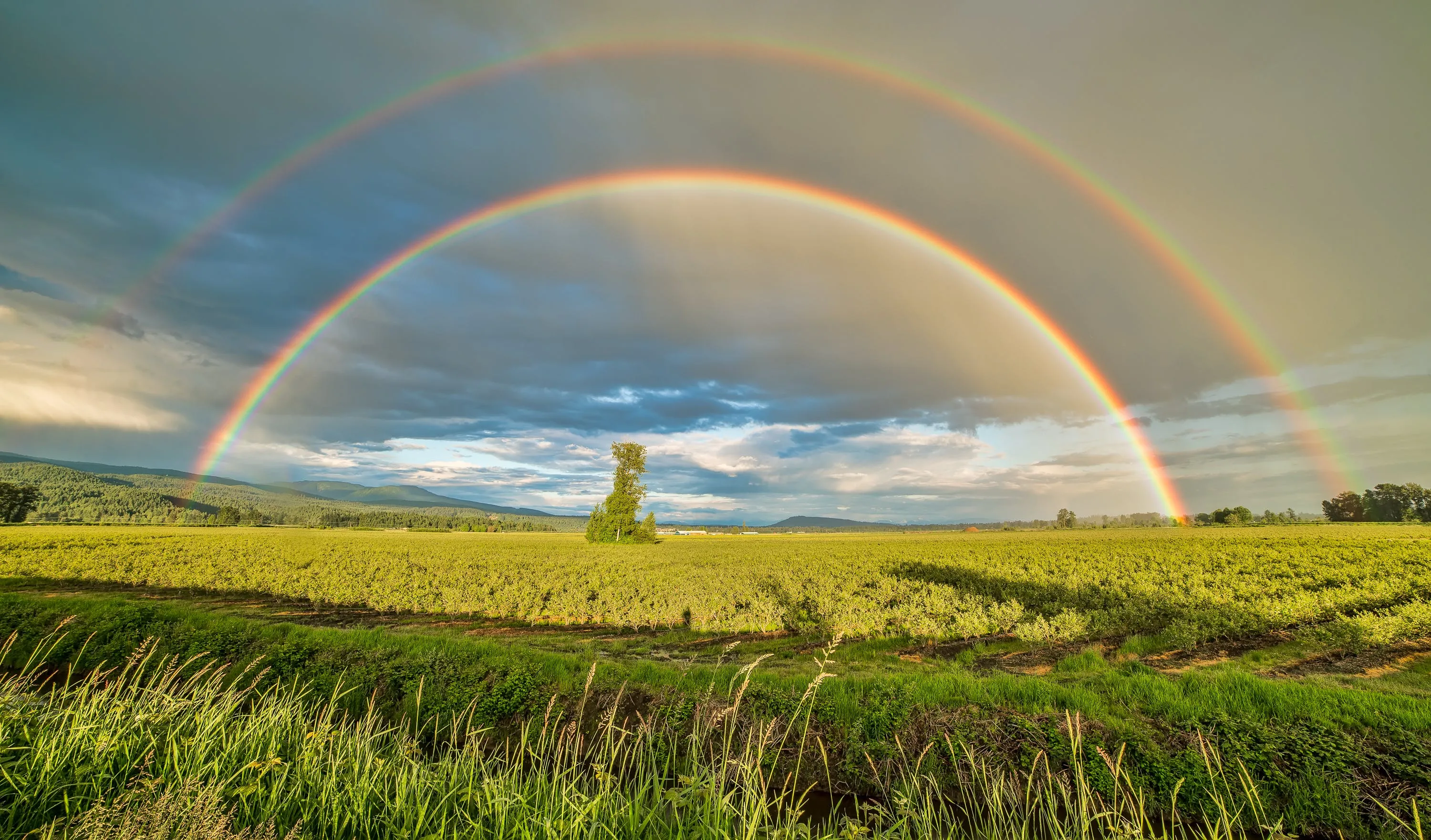 how many colors are in the rainbow